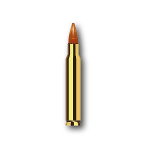 caliber 556